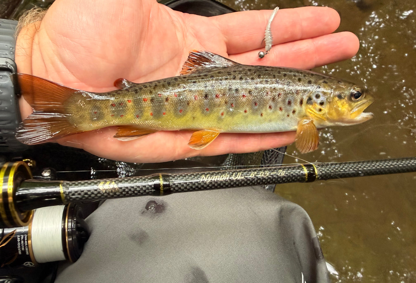 WA - Nymph - Ultra light rod - 0.5 - 7g - spinning rod