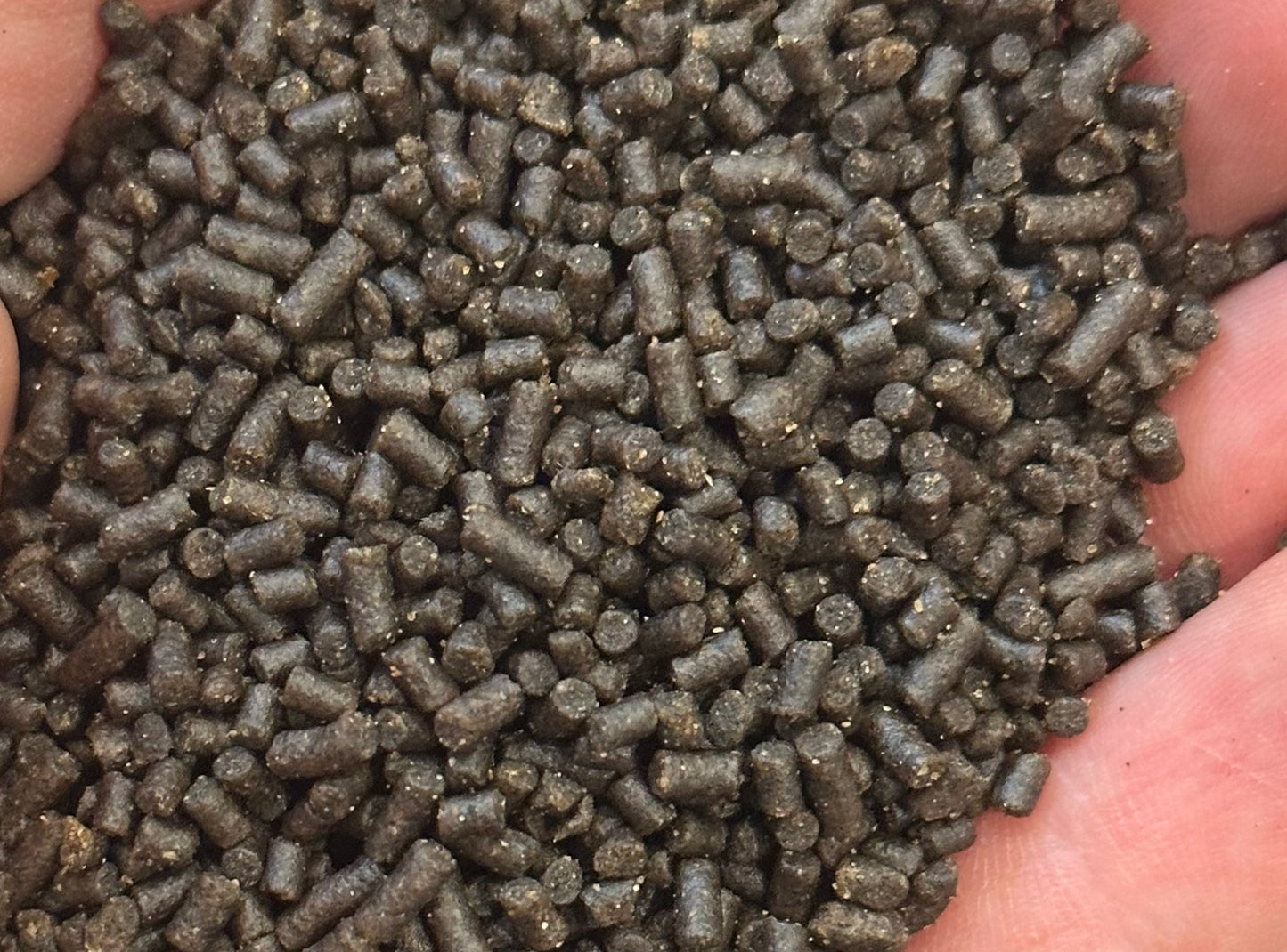 Olympian Baits - Origin Pellets - 1 KG Bags - All Pellet Sizes - Bulk Pellet Sale
