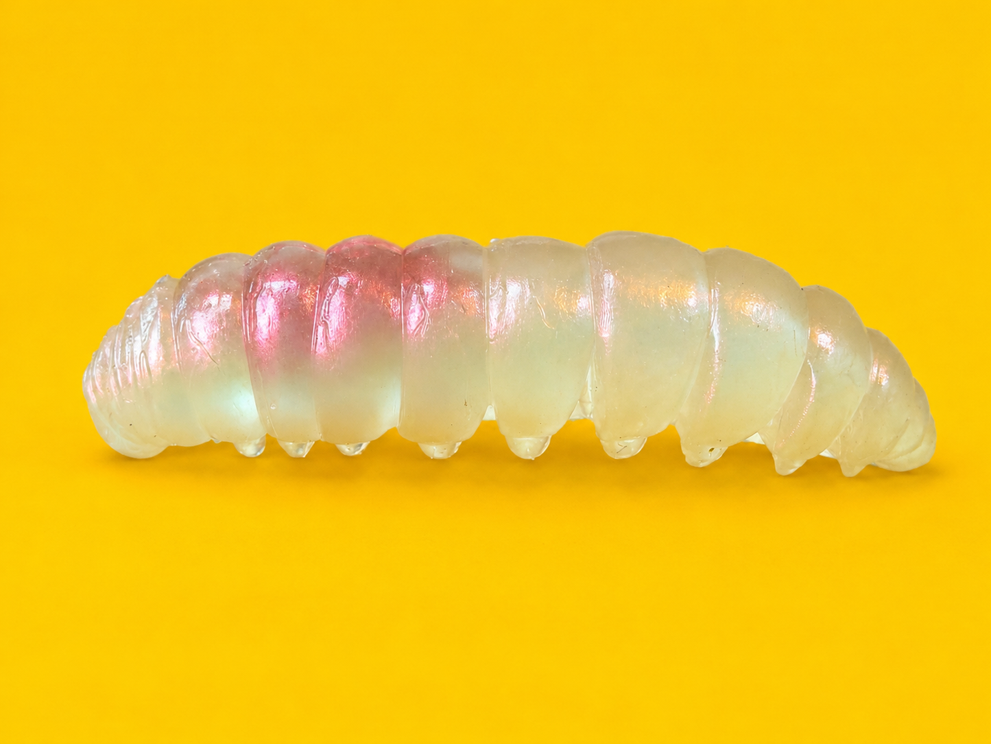 Spinpoler - Poor Worm - Soft Plastic Caterpillar Lures - Floating - 2 inch - 11 lures