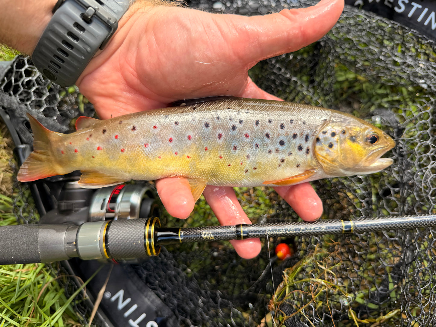 WA - Nymph - Ultra light rod - 0.5 - 7g - spinning rod