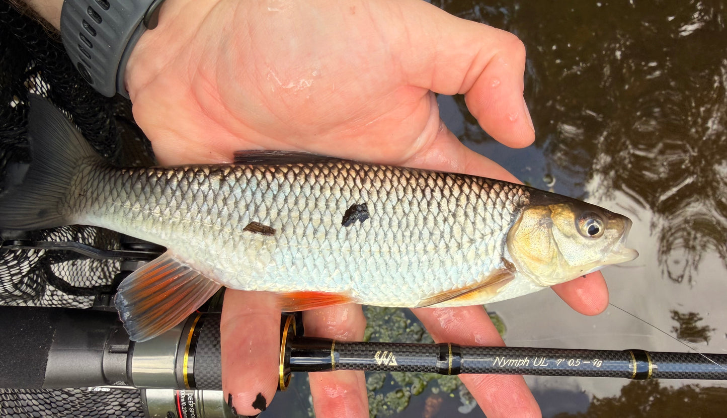 WA - Nymph - Ultra light rod - 0.5 - 7g - spinning rod
