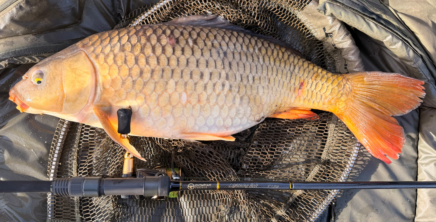 WA Olympian Range - Lightning bolt multi species specimen rod - 9ft 1.25tc - Available to pre order please email - Westysangling@gmail.com