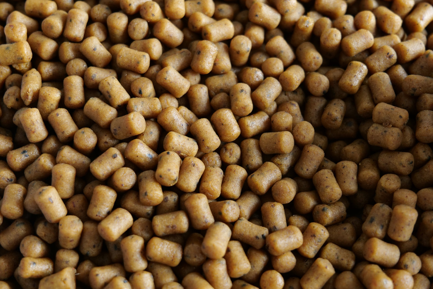 NEW Enhanced Sinkers - Soaked High Attract Hookbaits 10x14mm - sale